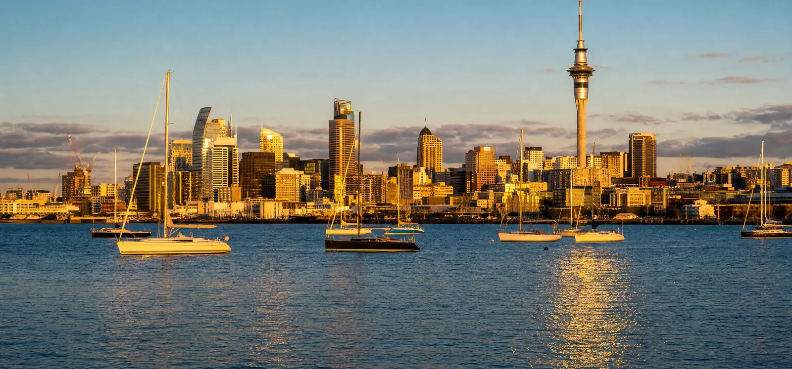 Auckland city skyline and harbour with sailboats at golden hour